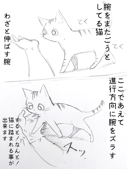 能動的ではなく
受動的に猫にふれたい…

#煮干出汁の落書き漫画 
