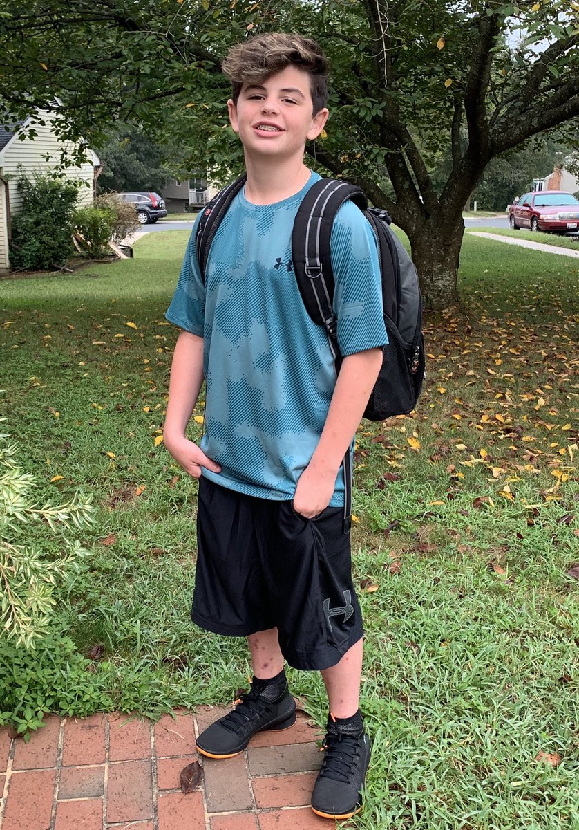 Susan Hall tweet media