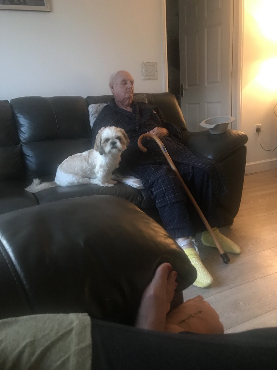 BevansEHU's tweet photo. My grandad has been given a very short time scale to live and therefore has moved in with us so he isn’t alone and my dog literally will not leave his side! They’ve become best friends and she’s so protective of him! She definitely senses things aren’t right😭❤️ clever animals😍 https://t.co/gEDzofsfXW