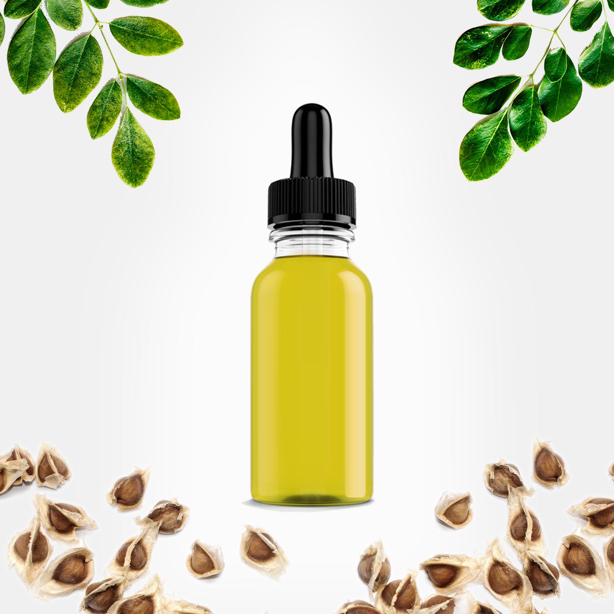Happy #OrganicSeptember! We just cold-pressed some wonderful organic, 100% pure moringa seed oil in #puertorico on Monday! Email aceitemoringapr@gmail.com or DM us for questions or orders! #moringa #moringaoil #organicskincare