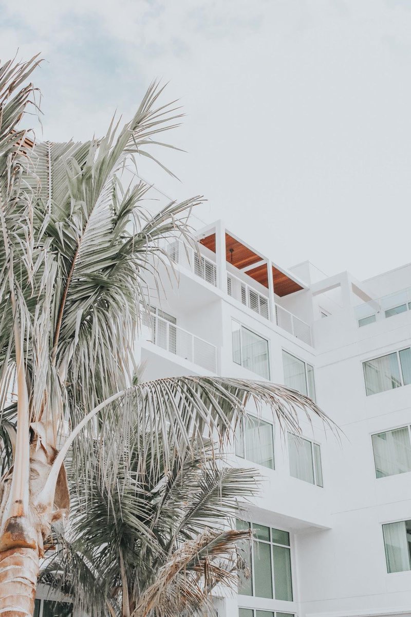 "Palm trees are the only thing we'll let block this beautiful view. 🌴 #MoreThanModern 

📸 by: @thesuncoastblonde"