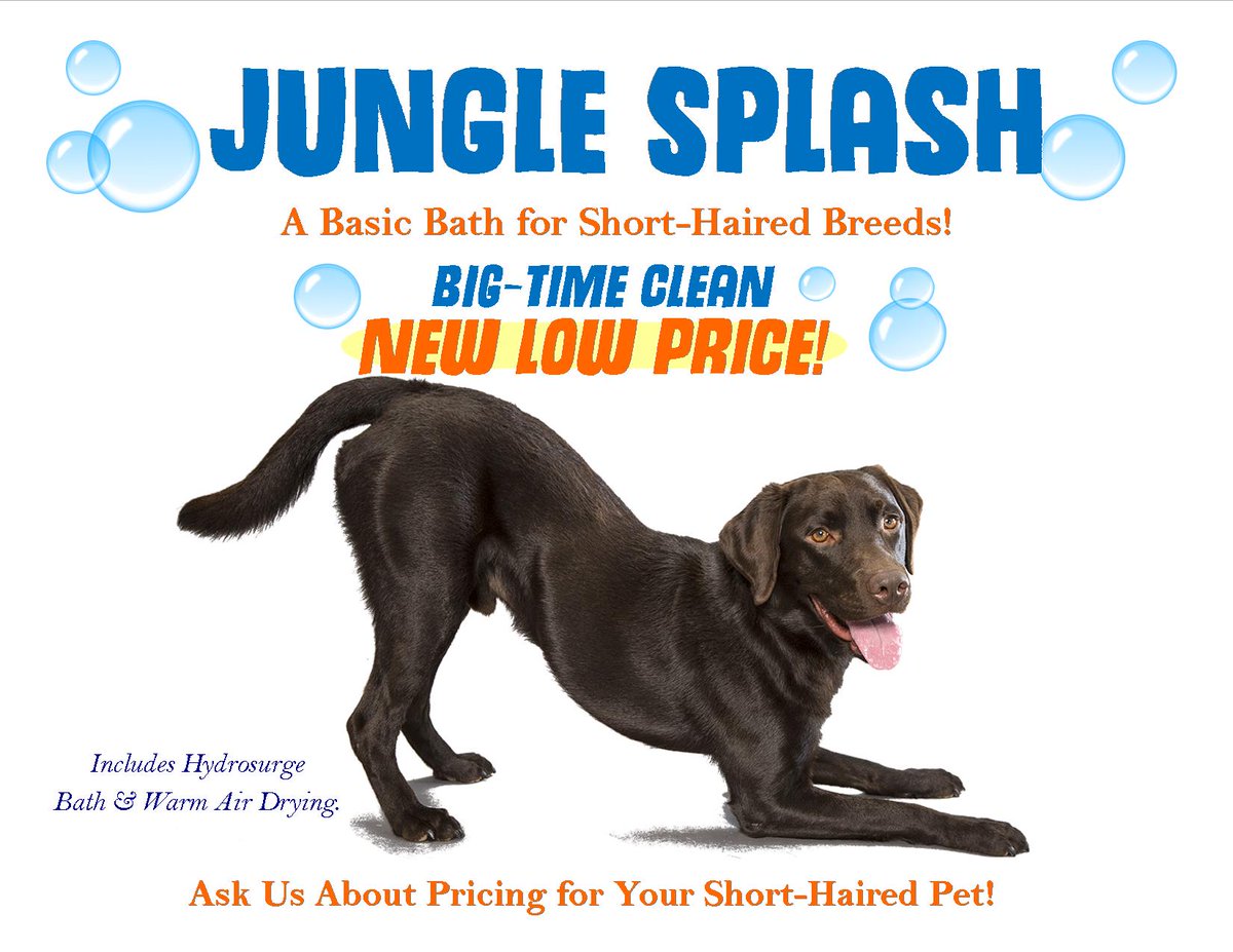 Safari Pet Resort On Twitter Dirty Dog But Don T Need The