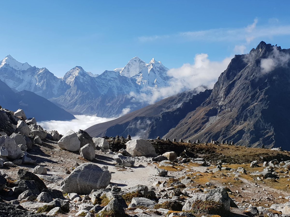 OneSeed Expeditions tweet media