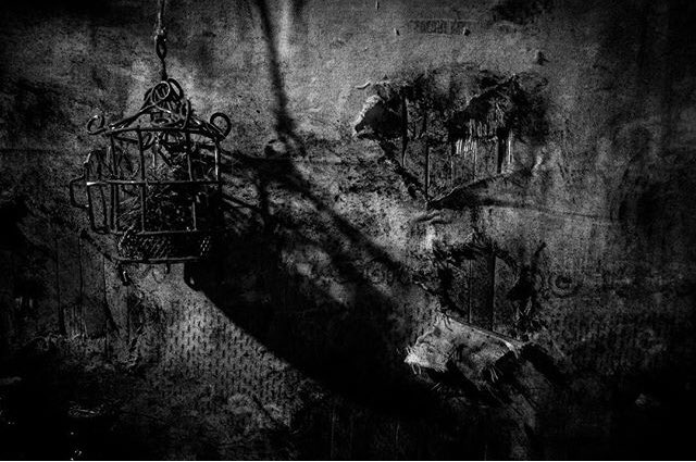 Miniature kitchen.
.
.
#ToeFilm #stopmotion #animation #miniature #indiefilm #shortfilm #SupportIndieFilm #horrorfilm #horrormovies #setdesign #diy #art #scary #filmmaking #filmmaker #film #movies #director #cinematography #Production #horrorfamily #horrorfan #scarystoriesmovie