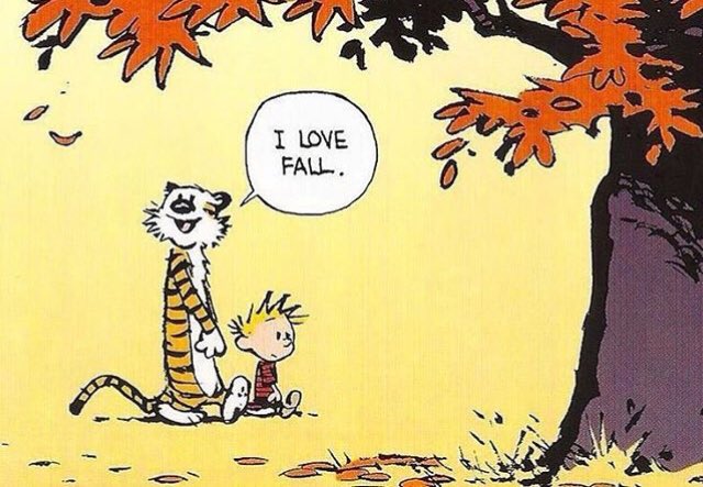 Calvin and Hobbes Fan Account tweet media