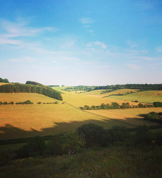 The Partridge Inn tweet media