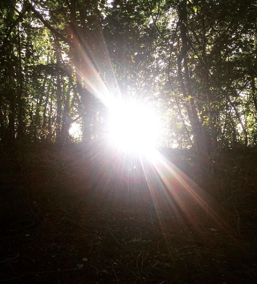 The Partridge Inn tweet media