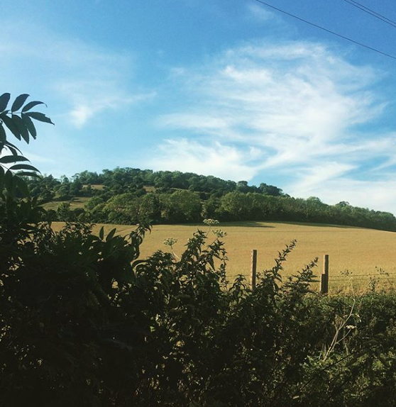 The Partridge Inn tweet media