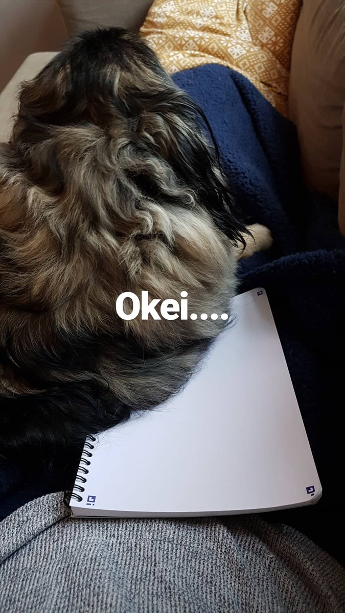 hellasilke's tweet photo. Trying to draw a moving target https://t.co/1Jp62QIO4Z