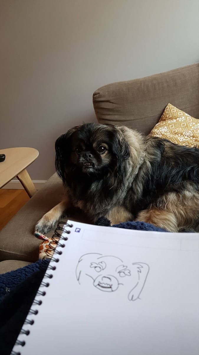 hellasilke's tweet photo. Trying to draw a moving target https://t.co/1Jp62QIO4Z