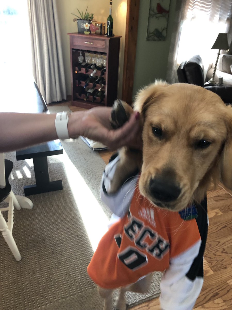 INTechWSoccer's tweet image. Dexter is ready for GameDay ⚽️👀💯 #dogsoftech