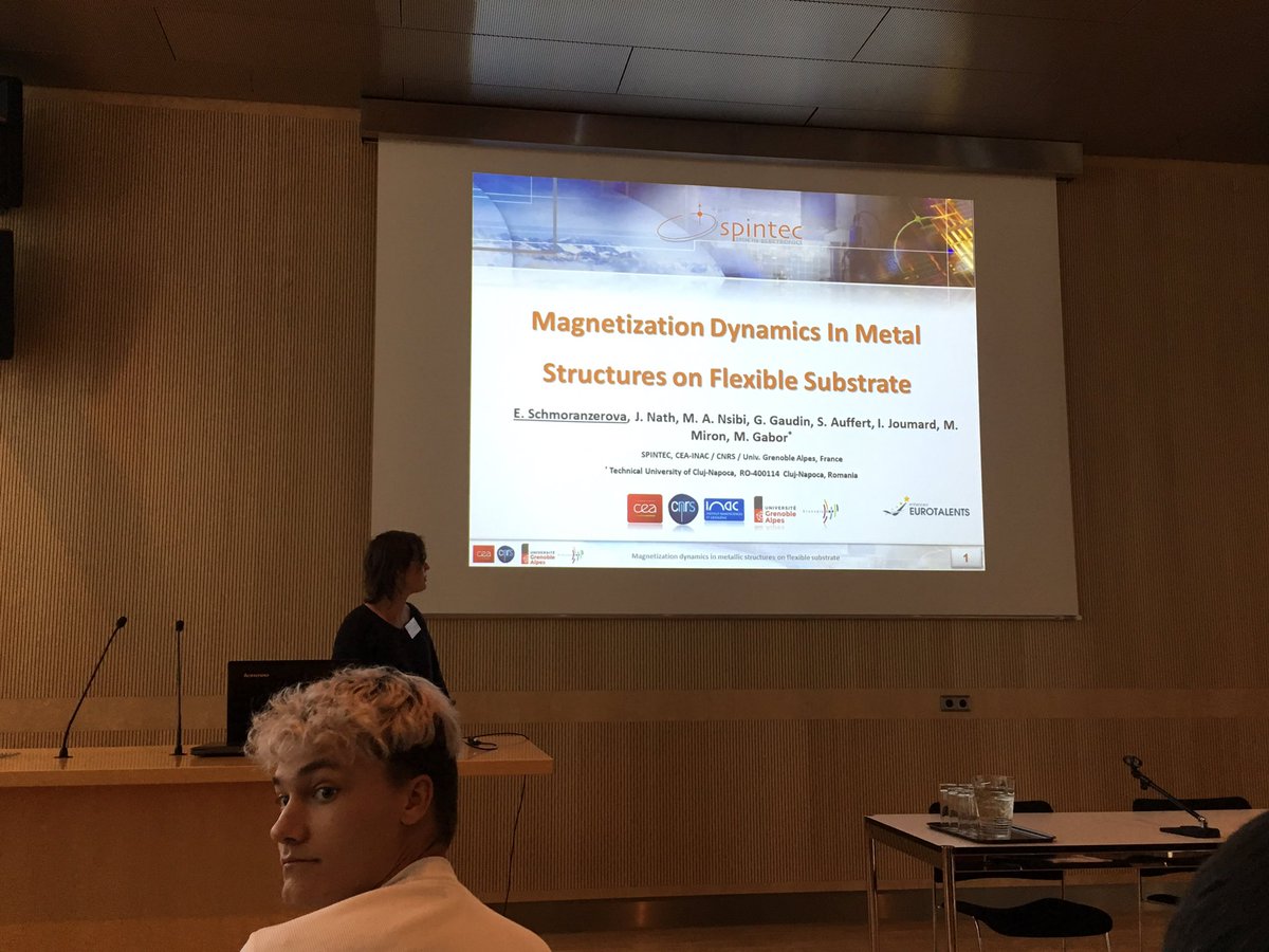 spintronicsHGW's tweet image. Good mix - theory and experiments. #Hall afternoon session. From Mainz, Prague and Dresden, by Libor, Eva and Helena: #Nernst Imaging, #SpinHall  #Antiferromagnets. #SWI2019 #KruppKolleg #Greifswald.