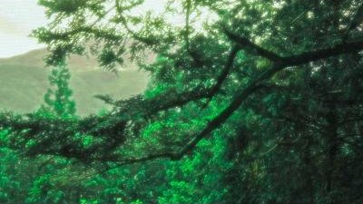 フリー素材あそび フリー背景素材 山の森を使っていただきました T Co Jmsvvsyku7 山 森 林 緑 背景 風景 イラスト 写真 フリー素材あそび フリー素材 Freebie T Co Xfc5tx6tqz Twitter フリー素材あそび フリー背景素材 山の森を使っていただきました T Co Jmsvvsyku7 山 森 林 緑 背景 風景 イラスト 写真 フリー素材あそび フリー素材 Freebie T Co Xfc5tx6tqz Twitter