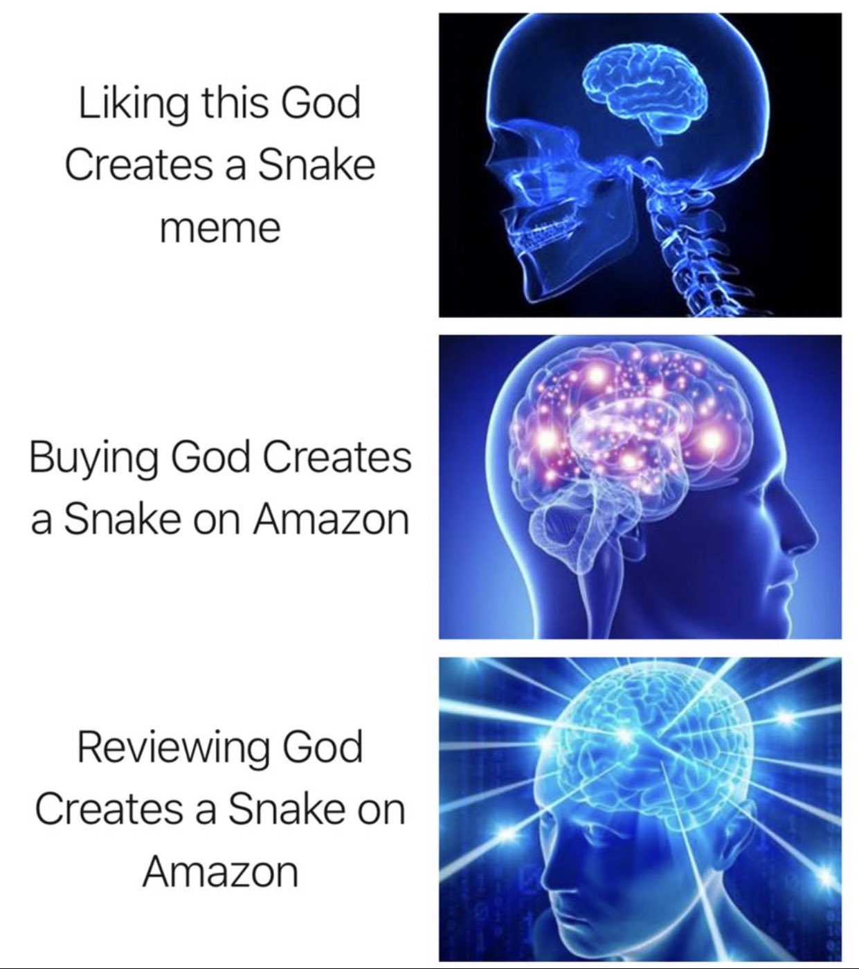 God Creating Animals on Twitter: God Creating Animals on Twitter: