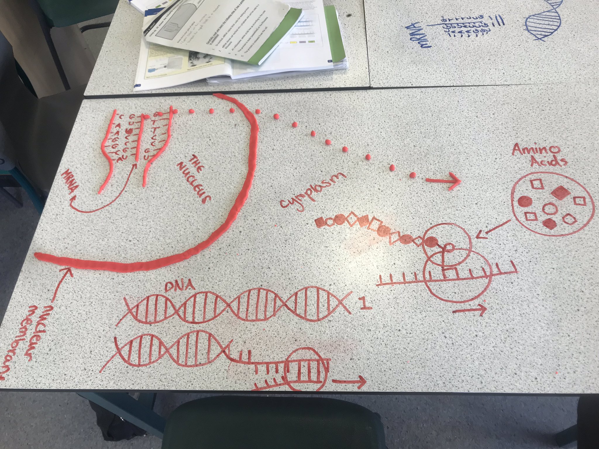 Lochaber High School Biology Department Lochaberhsbio Twitter