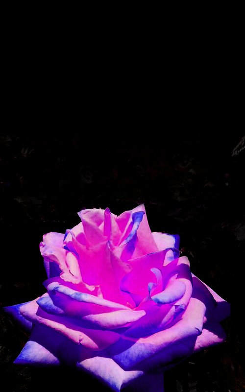 小説用フリー素材 Twitter Search Twitter 小説用フリー素材 Twitter Search Twitter