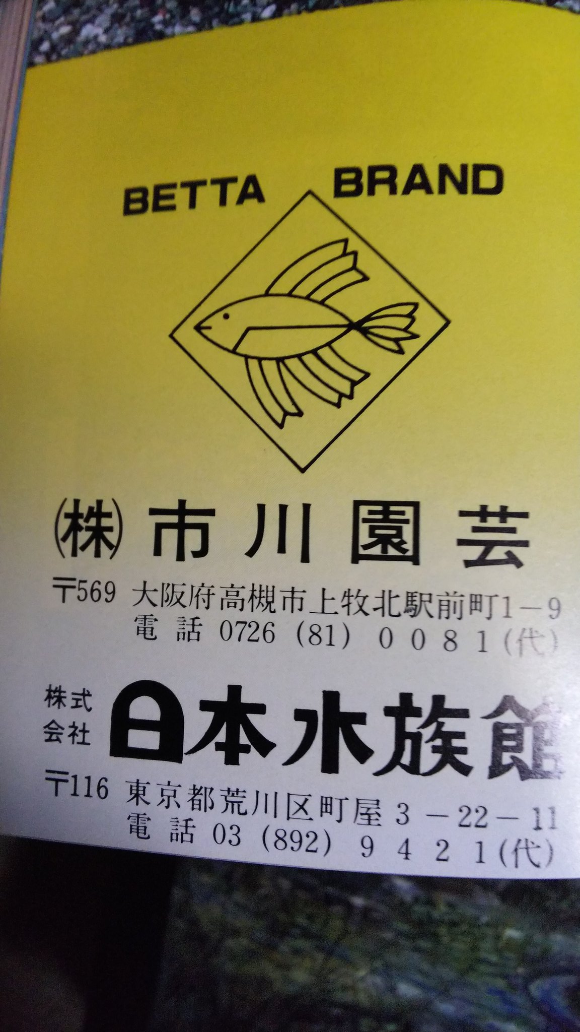 爬虫類 両生類専門店レプティリカス Herping 確かに池の上にネットが被せてましたねぇ 怒 カミツキやワニガメもいましたよ 怒 中途半端なサイズも多数 怒 ヘビはwcのナイルスナボアを買ってきたら何も食わずに一年経過して 怒 一年後に