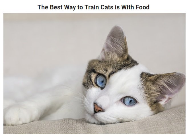 companionanimalpsychology.com/2017/09/the-be…