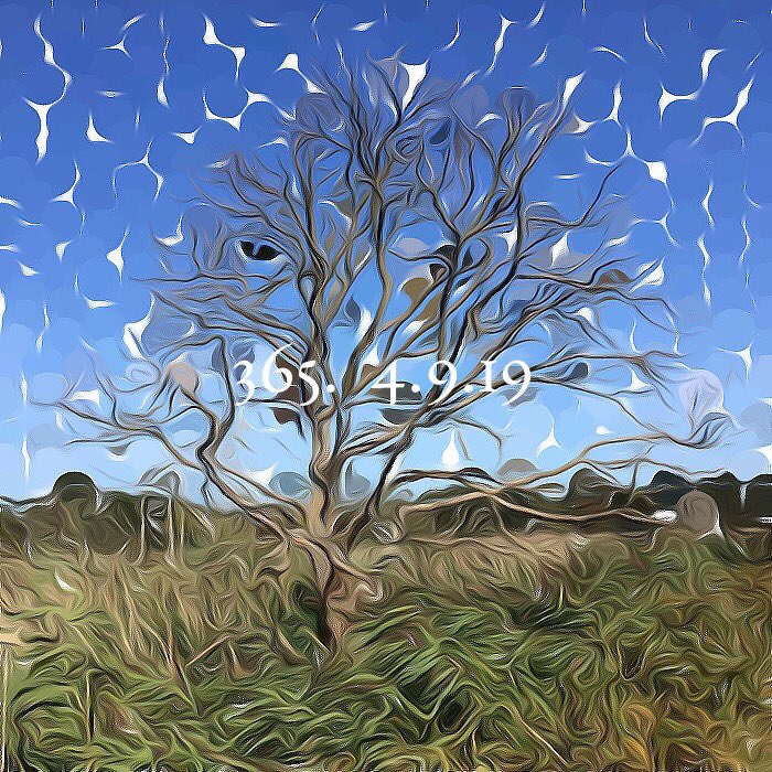 Boart's tweet photo. “Majesty”...
365 Daily Challenge... 
Products @ https://t.co/LKNFlbzIYx or https://t.co/pDvfBvVKvX https://t.co/8o7BUX9j7U