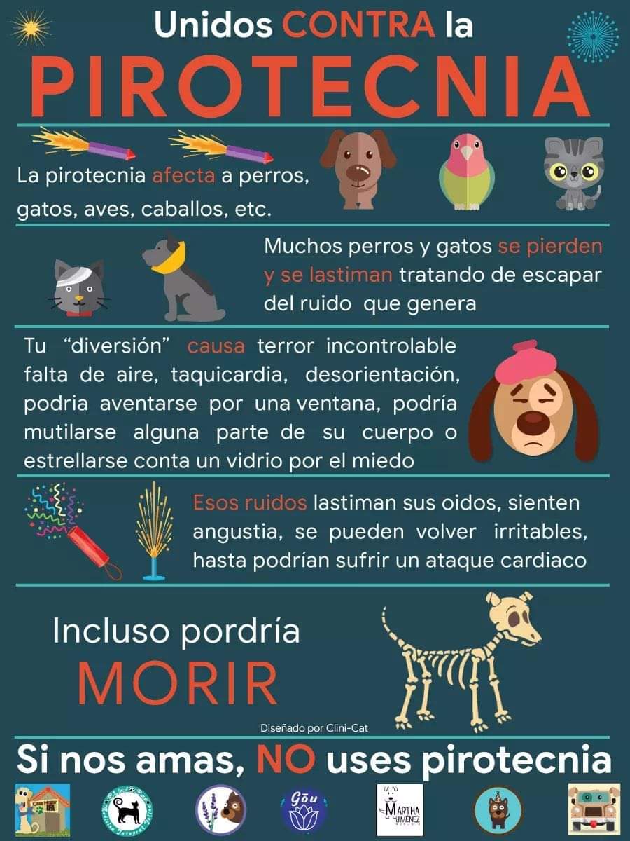 shirleybr86's tweet photo. Puedes festejar sin afectar a los demás no a la #pirotecnia. #unidoscontralapirotecnia #FiestasPatrias #15DeSeptiembre https://t.co/UYB3nl7ktN