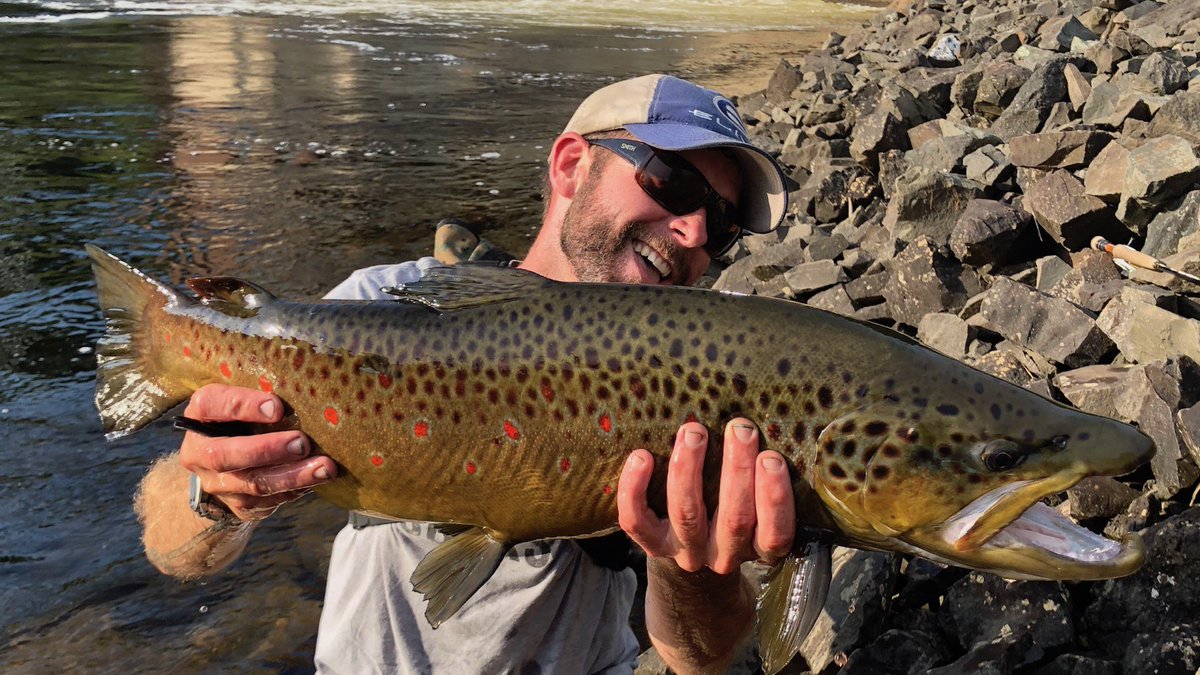TandTFlyFishing's tweet photo. Big browns bring big smiles for T&T Pro Brian Lynch @pheasanttailtours .
#THOMASANDTHOMASFLYRODS #TRYWEO #MADEINAMERICA #HANDCRAFTEDTOPERFECTION #FLYFISHING #FLYRODS #FLYFISHINGGEAR #TROUTFISHING #BROWNTROUT #TROUTBUM #FLYFISHINGJUNKIE https://t.co/5SLPQhJ58g