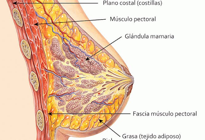 IQAlfo81's tweet image. #BotDetected así es una familia con papa y mama