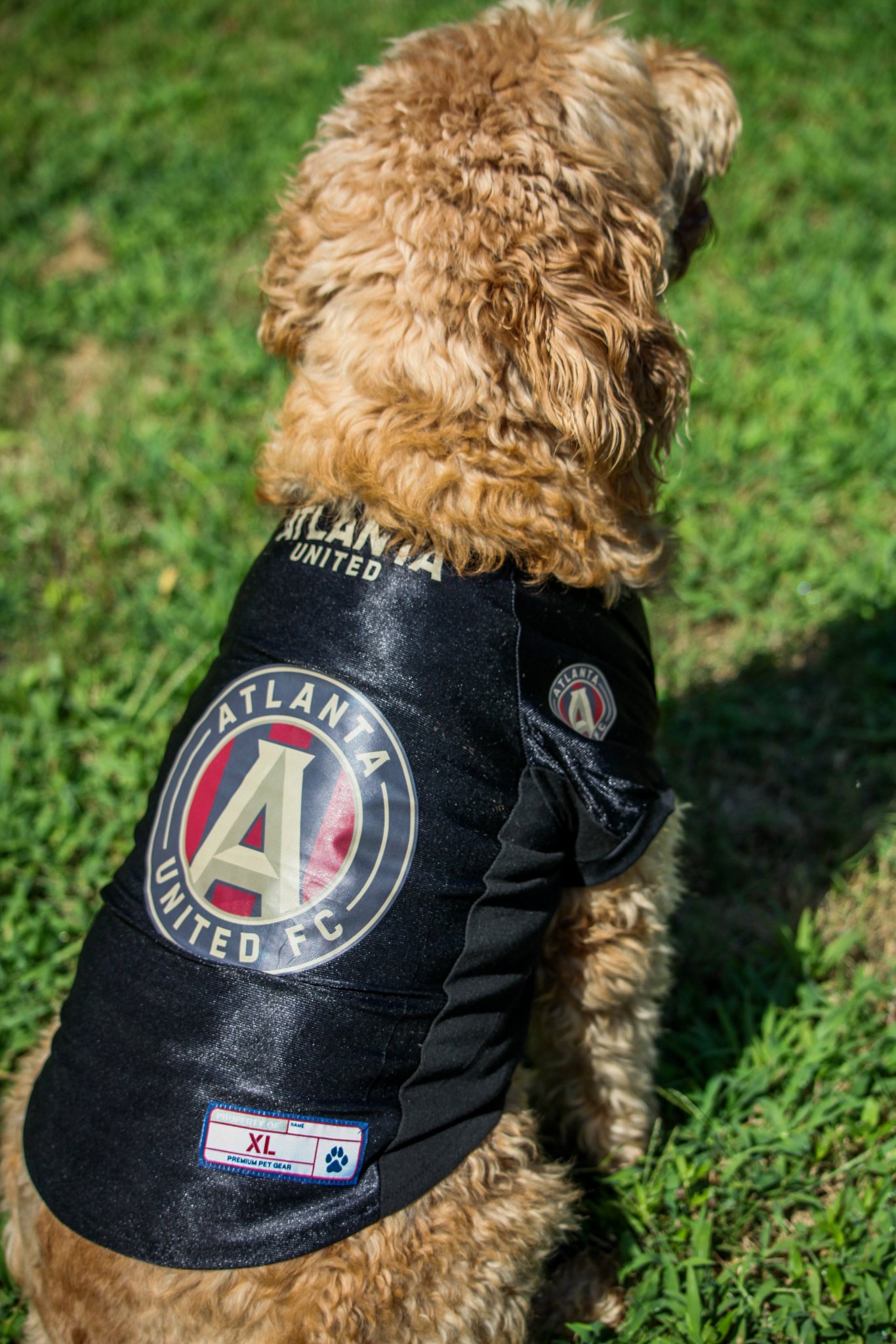 atlanta united dog jersey