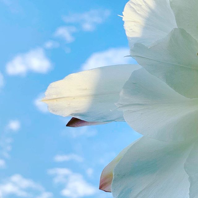 Hélène Scott tweet media