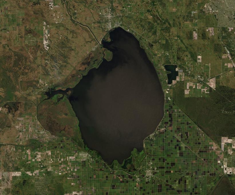 SFFGS_UF's tweet photo. Join our #Fisheries and #AquaticSciences Seminar this Friday! Dr. Dan Canfield, founder of the #LAKEWATCH program and professor of limnology with @SFRC_UF, will present: “Restoration of Lake Okeechobee – Mission Impossible!”
Watch online 9/6 @ 3:30 EST: https://t.co/8UrcHL1oyx https://t.co/gQ8NJcX7tL