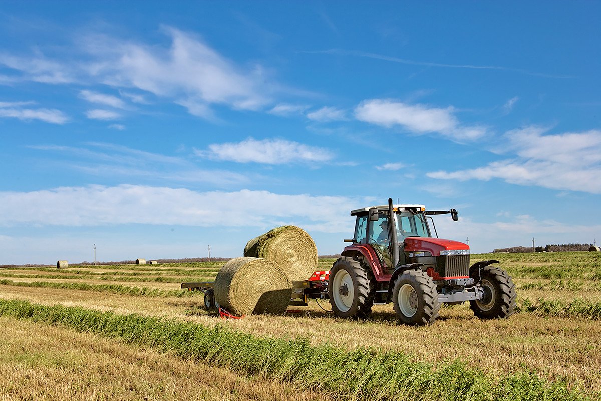 Haul and unload bales with speed and efficiency with the Farm King Round Bale Carrier. Rugged durability and easy unloading helps minimize bale damage and reduce handling costs. #farmking

Learn More: bit.ly/2IwdPFl