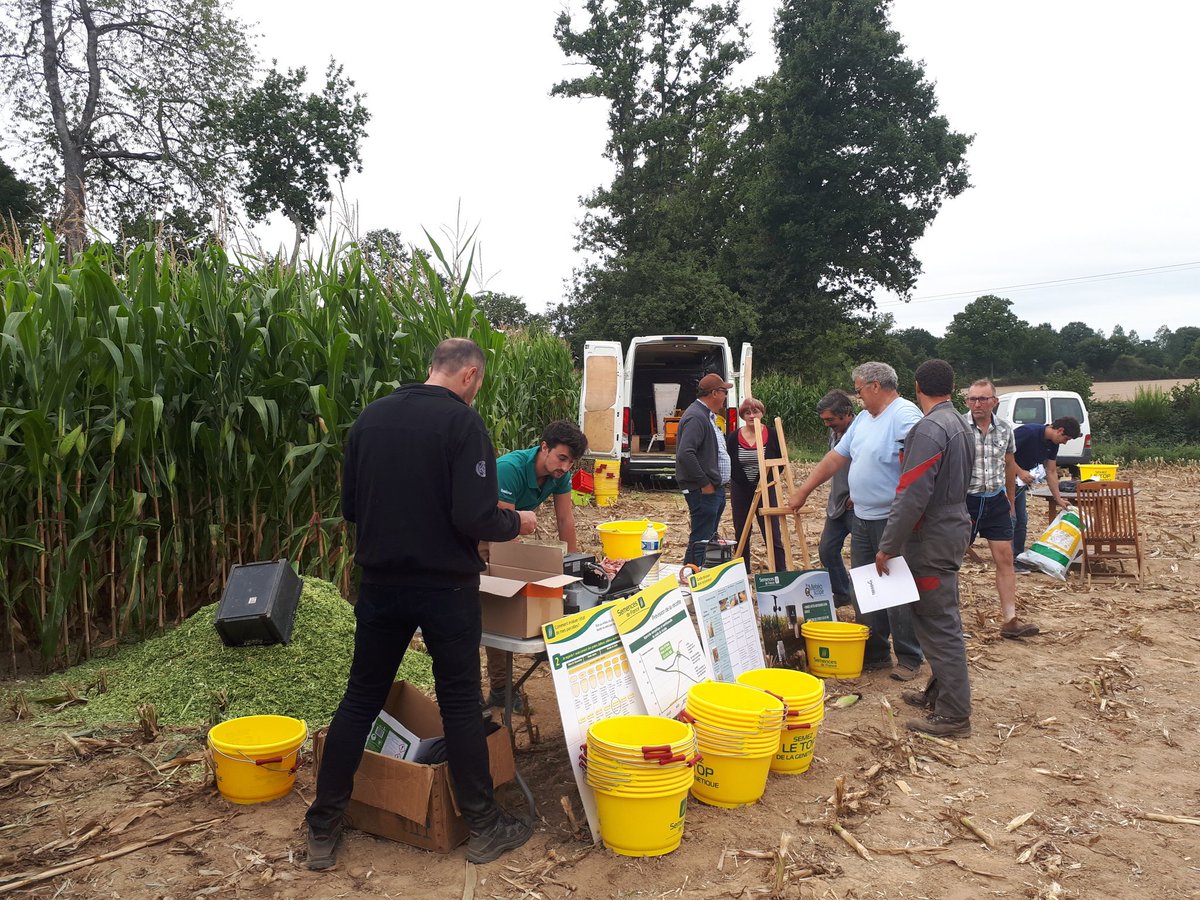 maxime_touzaint's tweet photo. 180 analyses MS ajd dans le Nord Est mayennais. Pas de doute, c était le jour J pour dater son chantier d ensilage #maïs @Semences_France @agpm_mais @Arvalisofficiel https://t.co/wia62nlhsx