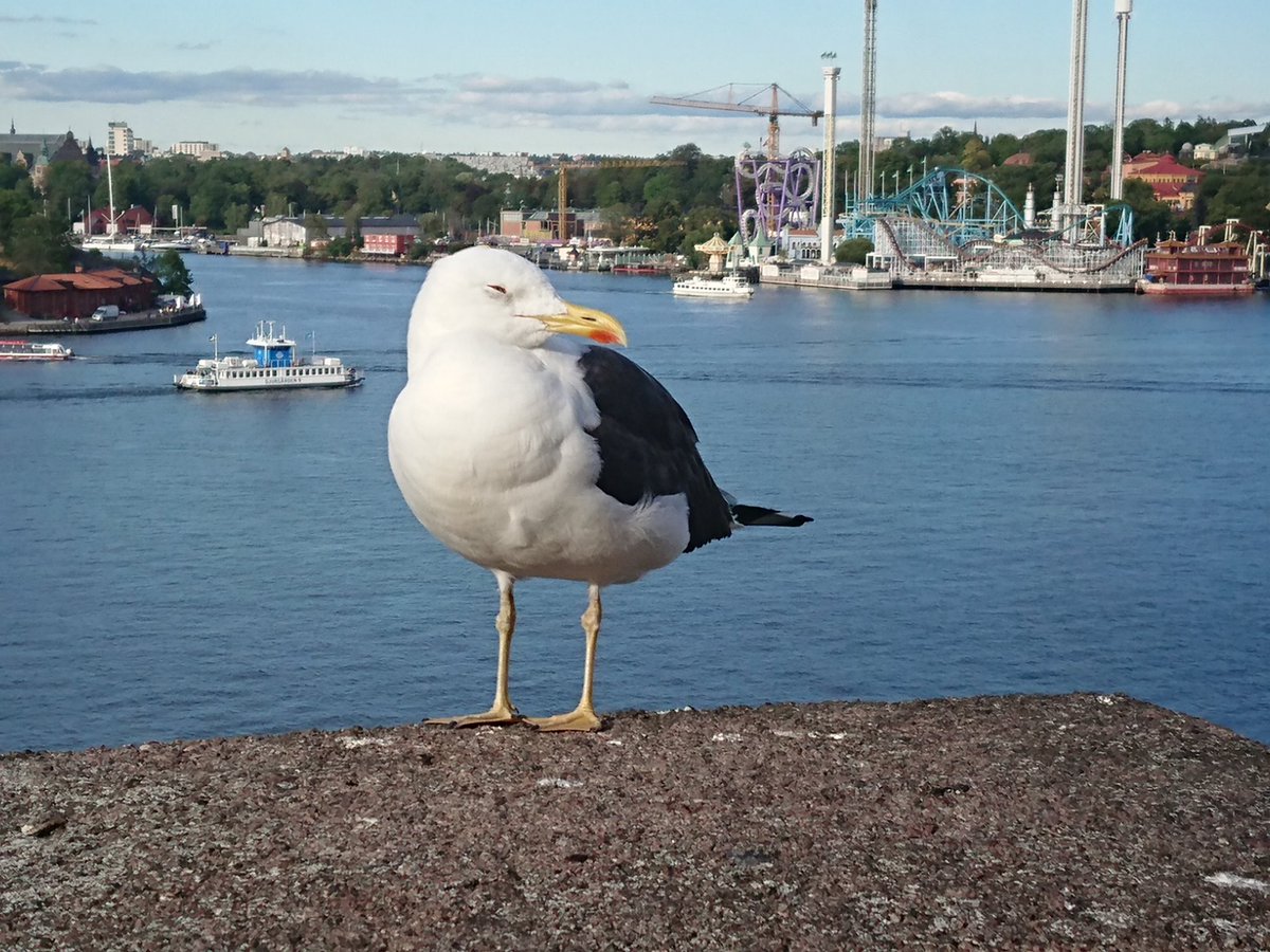 martensoderberg's tweet image. Studierektorsmöte på Ersta sjukhus idag. Planerar fortsatta ST-utbildningar, skrivningar via sim.nu och uppföljningar. Blir bra.