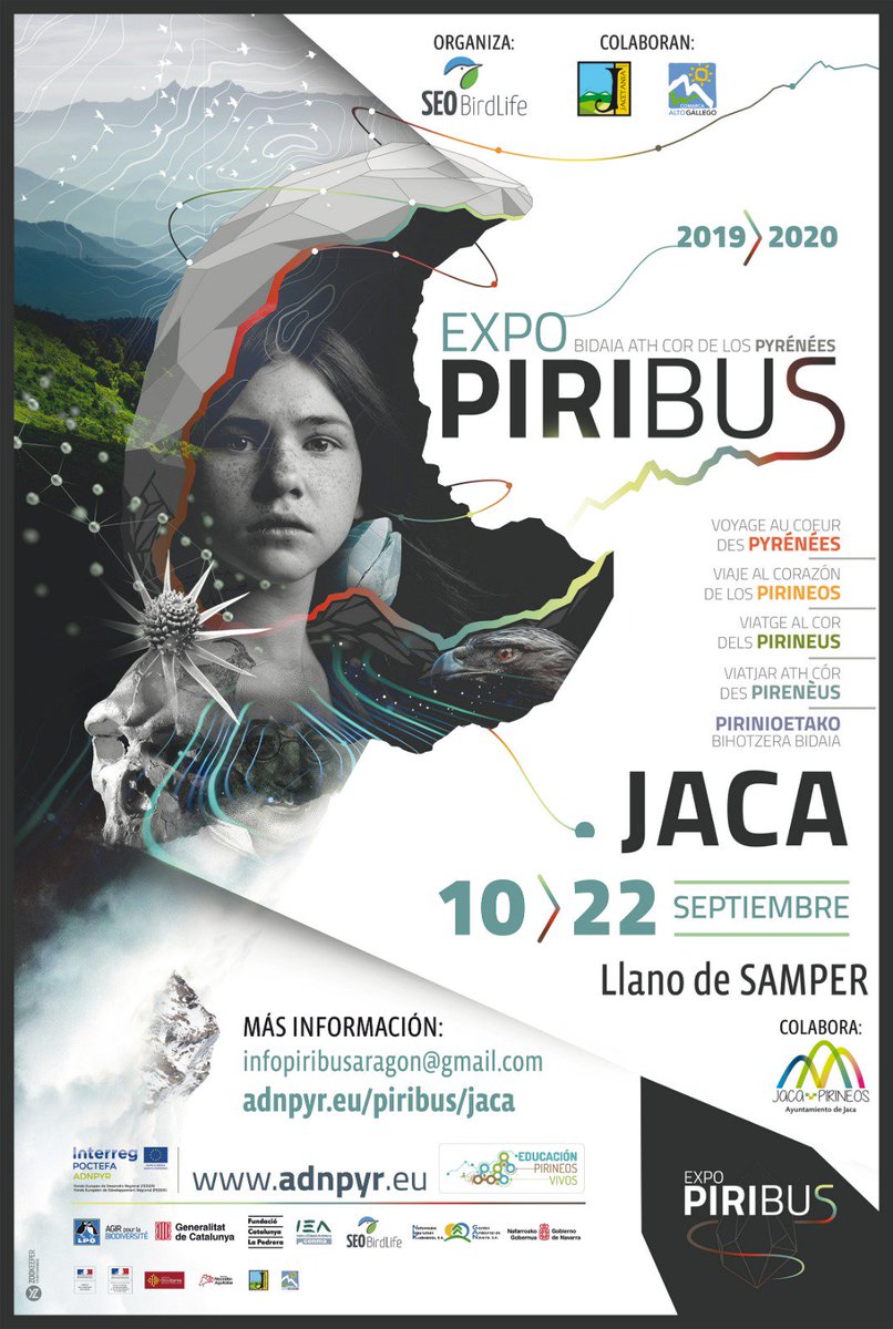 migracionportaletseo (@portalet_seo) on Twitter photo 