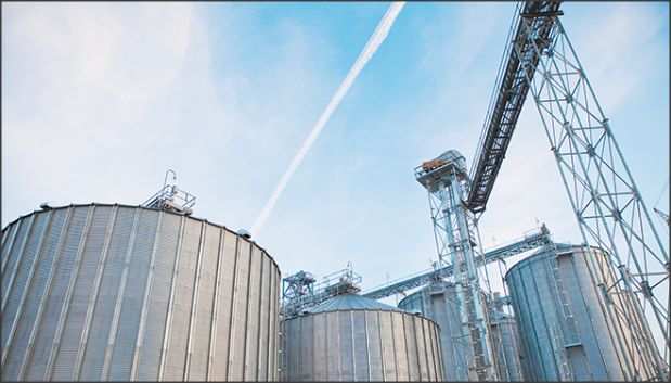 centaurtek's tweet photo. #Mycotoxins in stored #grain are a public health hazard and a cause for food and feed recalls. How can the #InternetofThings and #AI help eliminate it? Read more in this article by Dr. Kaloudis of Centaur. #foodsafety #dairy #IoT #InternetofCrops 
https://t.co/3opOUUmisX https://t.co/1452spxlih