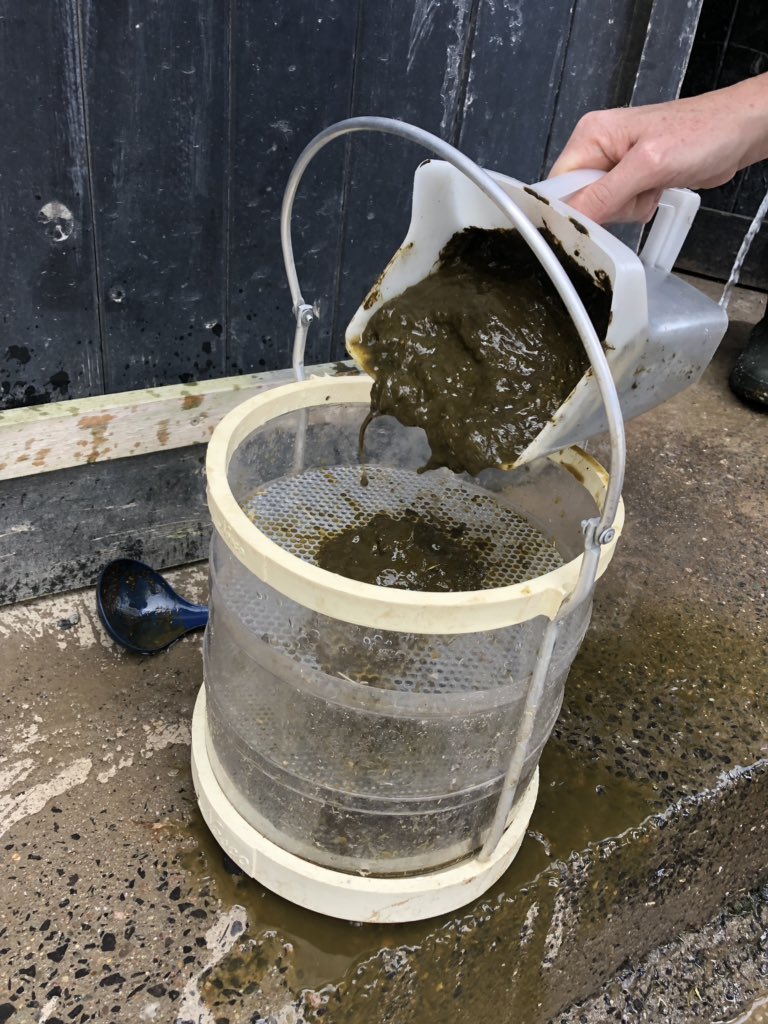 RowanBoardley's tweet image. Boyfriend: good day at work? What did you do?

Me: absolutely loved it, spooned and sieved shit!! 

#rumenhealth #dairycows #sieveshit #lovemyjob
