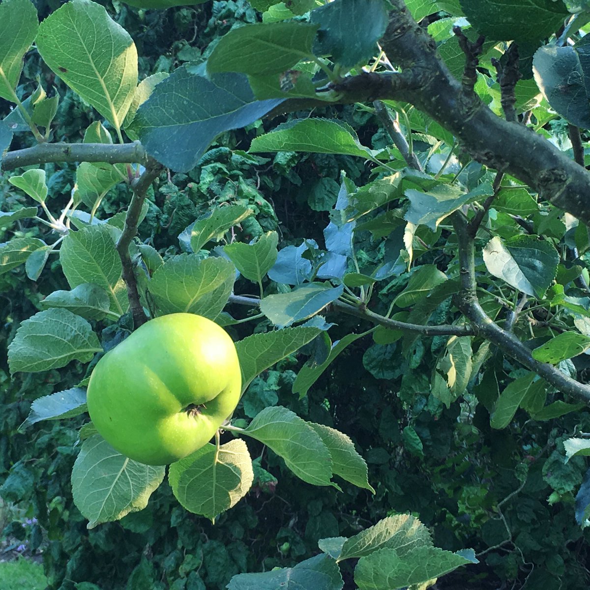 Kate & Tamara tweet media