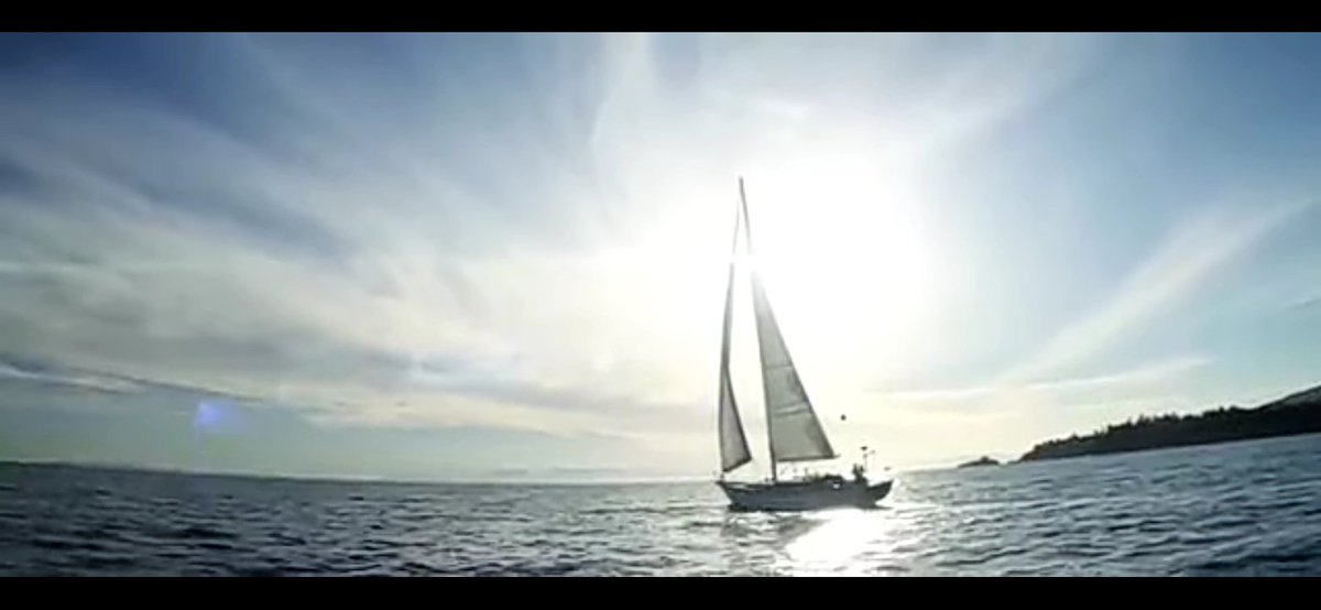 mckeyyyyyy's tweet photo. This movie makes me cry😭
#midnightsun
#favemovie
#neverstopcrying😭 https://t.co/nQzPHBGeyU
