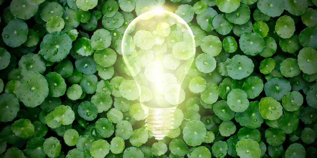 CommScope's tweet image. #OrgulloCommScope Estamos reduciendo la huella ambiental mediante decodificadores energéticamente más eficientes. Robert Turner le cuenta todo en este artículo: ow.ly/BgXF50vWyNS

#CommScopeCALA #ThinkFiber