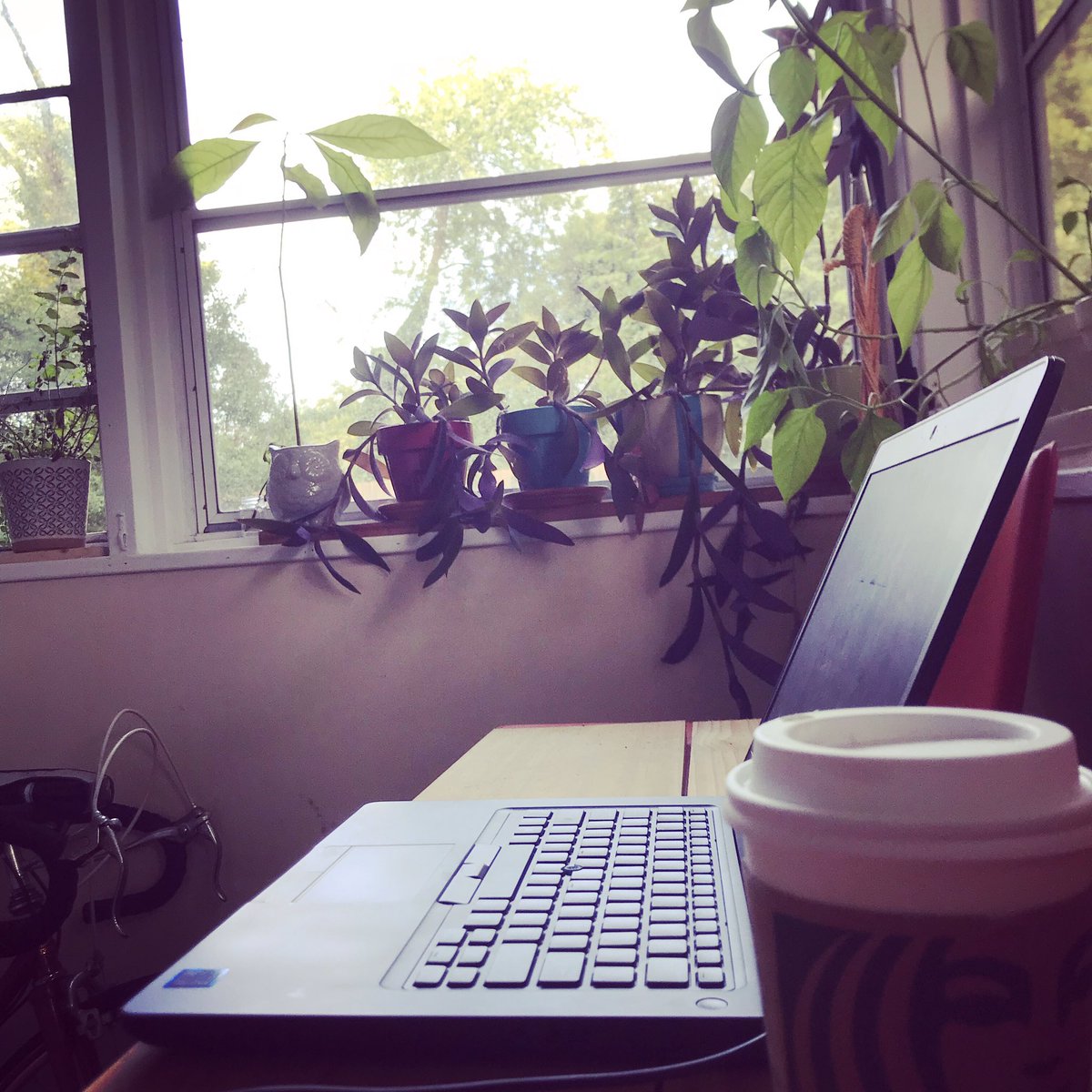 ltayara1's tweet photo. And this is where I shall live until winter. #workwithaview #budgetwithaview #bbudgetrealgood #workfromhome #wfh #localgov #localgovnerd https://t.co/13UzktZ6LL