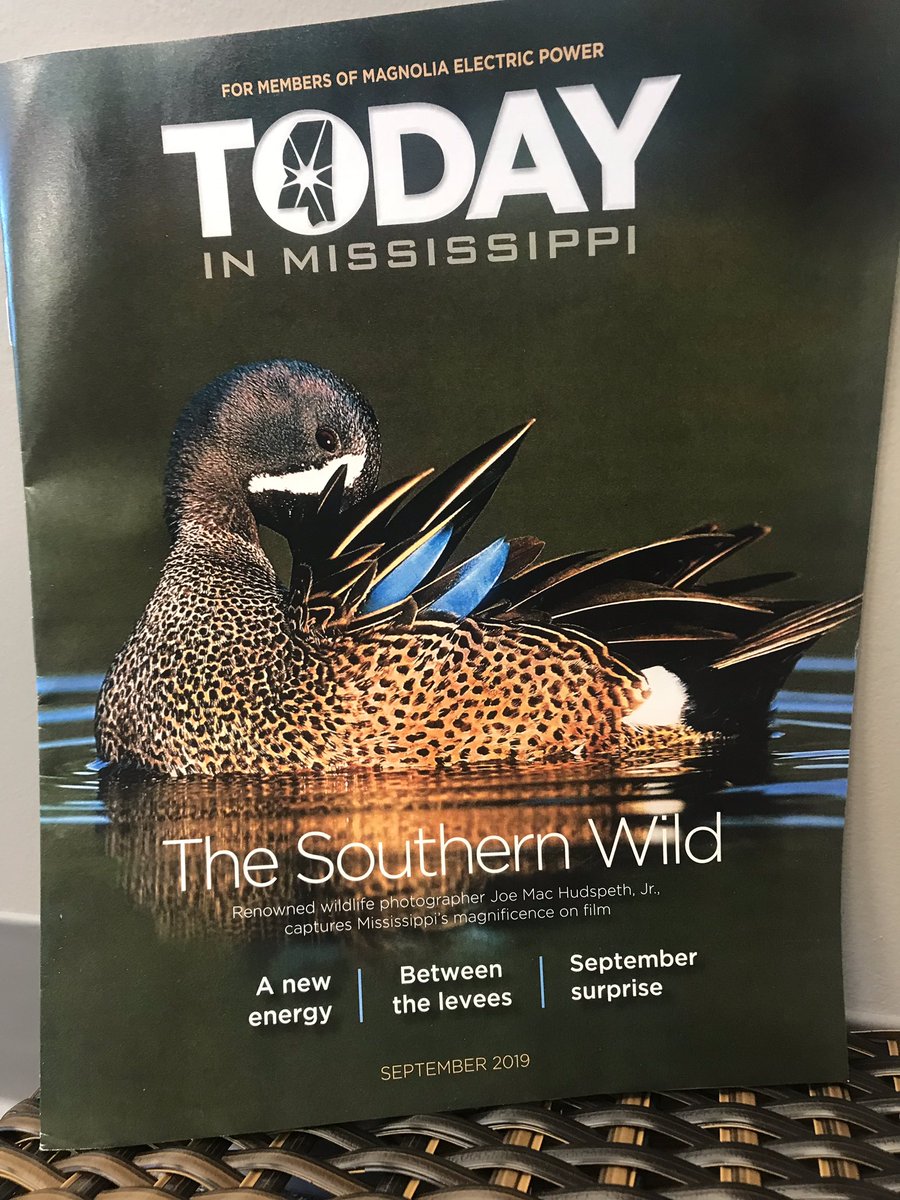 MEPCoop's tweet image. Be sure to check your mailbox for the September edition of Today in Mississippi! It has become a magazine! Don’t receive a copy? Call and get added to the mailing list. It is free for MEP members. We also offer an electronic link on the MEP webpage
mepcoop.com