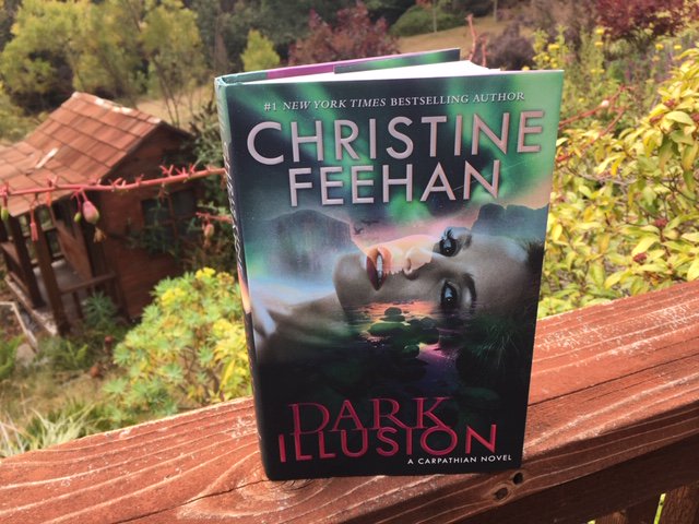 AuthorCFeehan's tweet photo. Dark Illusion is out! There's a good deal about mages in this one and we find out about a lost book of spells!
#DarkIllusion #mages #spells #romance https://t.co/yIw5ZLe9dP