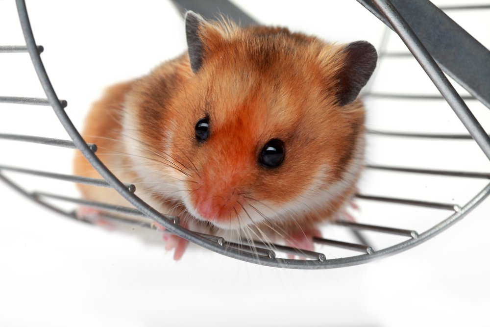 TechNoirCIO's tweet image. What&apos;s stopping your startup from getting to the next level?

technoirsolutions.com/how-tech-start… #itservices #techstartups #businessdevelopment #outsourcingit