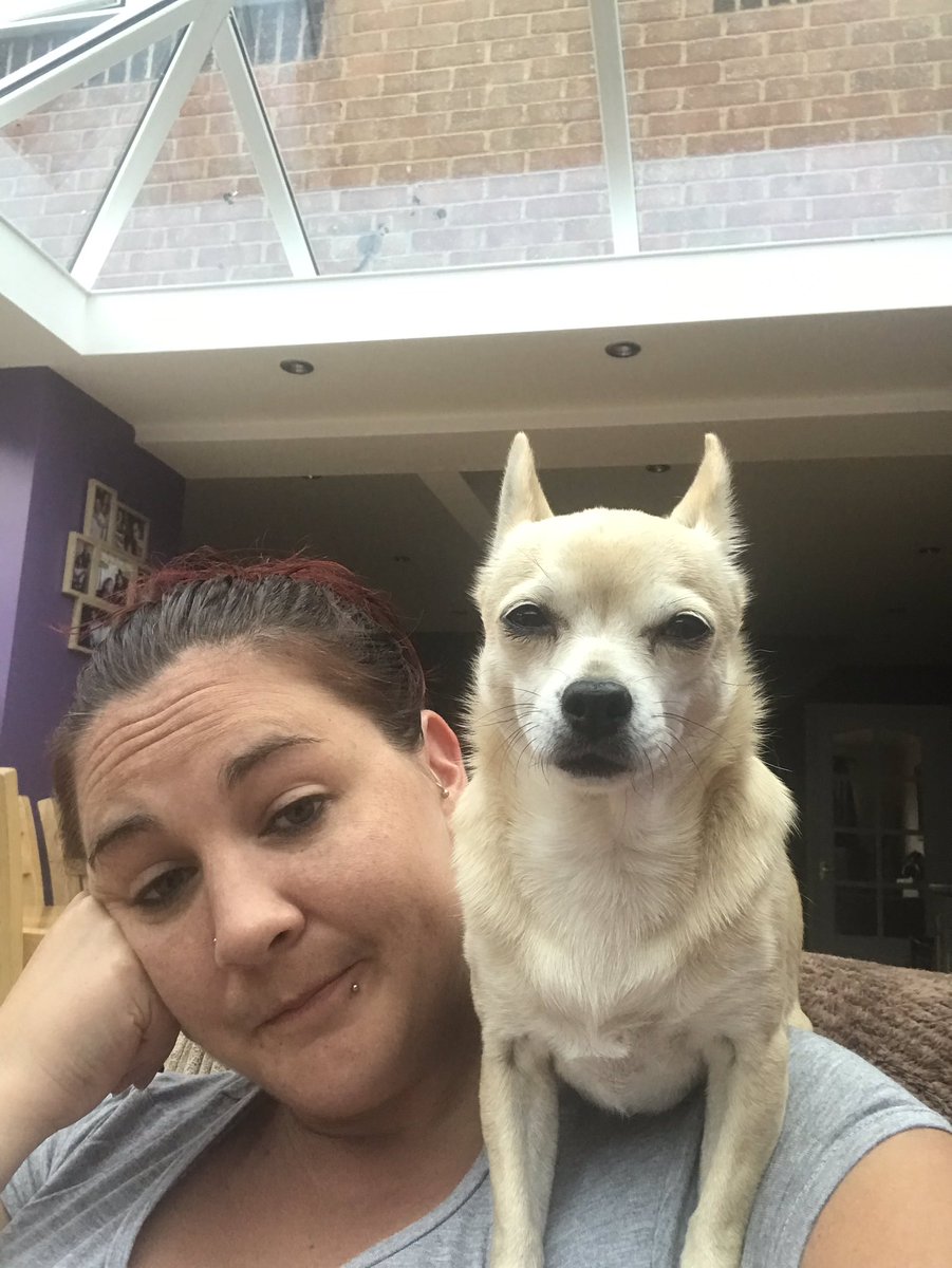 Dogs don’t seem to understand personal space 😂 #parrotDog