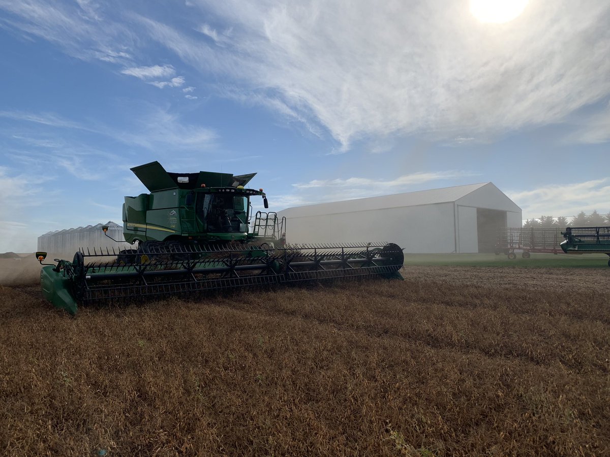 And away we go! #harvest19 is off to a beautiful start with our home section of #meadow peas. #abfarmers #ag #johndeere #peas #fieldpeas #agmorethanever