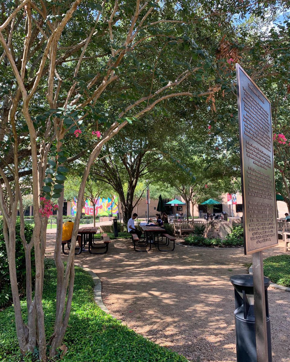 stthomashouston's tweet photo. #USTWednesday: “Be bold enough to use your voice, brave enough to listen to your heart, and strong enough to live the life you have always imagined.” - Anonymous #BeYourBoldSelf
.
.
.
#usthouston #uststrong #ustbold #ustpride #celtstrong #celtnation #celtpride #houston #montrose https://t.co/aSe6crvXWB