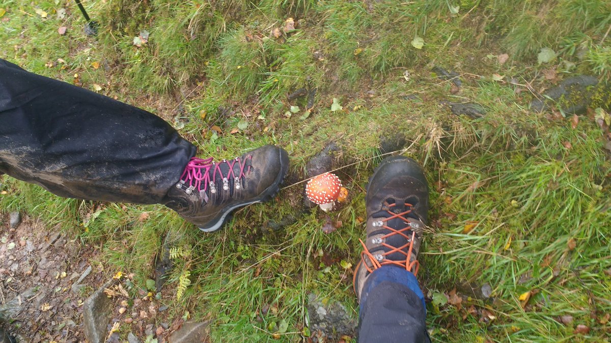 TheShipsMast's tweet photo. @KBCwainwrightc1 @keswickbootco
A bit of product testing over the past 3 days. Over 75kms covered, but only 3 Wainwright summits. #bakestall #skiddaw #blakefell https://t.co/ivisobC2tV