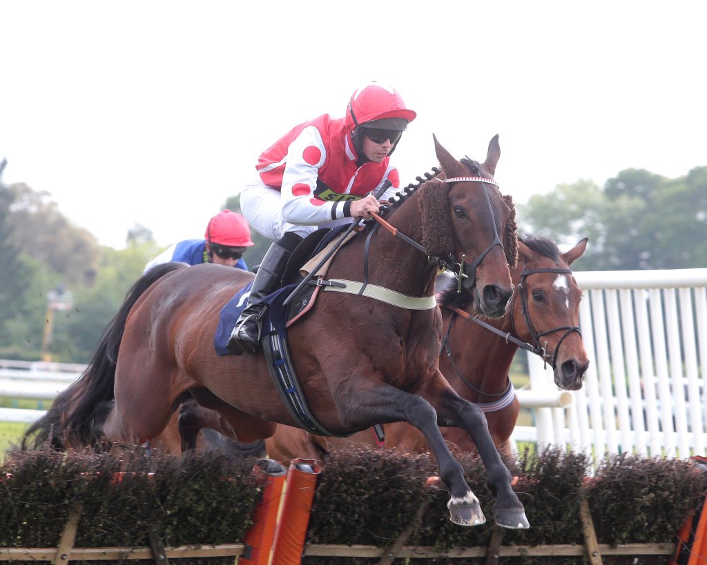 Jamie Snowden (@jamiesnowden) on Twitter photo Delighted for <a href="/benhicks56/">Ben Hicks</a> who rode out his 10lbs claim when #winning on #OurReward <a href="/Southwell_Races/">Southwell Racecourse</a> this afternoon for <a href="/TeamHeartRacing/">Heart Racing</a> <a href="/BecsBailey/">Becky Bailey</a> <a href="/michael_ogilvy/">michael ogilvy</a> #winner #No23 for the season. Well done team. Delighted for <a href="/benhicks56/">Ben Hicks</a> who rode out his 10lbs claim when #winning on #OurReward <a href="/Southwell_Races/">Southwell Racecourse</a> this afternoon for <a href="/TeamHeartRacing/">Heart Racing</a> <a href="/BecsBailey/">Becky Bailey</a> <a href="/michael_ogilvy/">michael ogilvy</a> #winner #No23 for the season. Well done team.