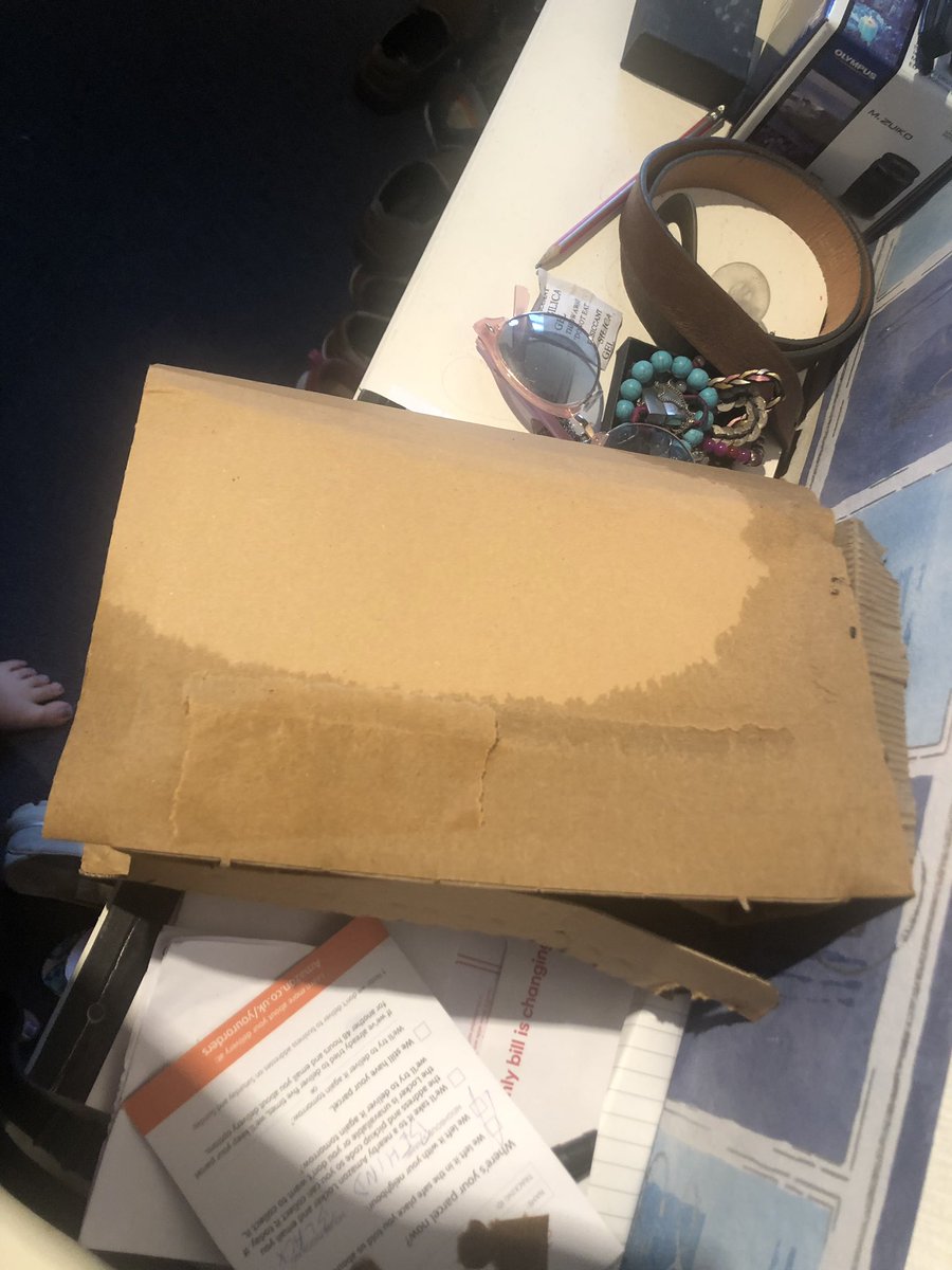 ✨Laura Dailey💫 tweet media