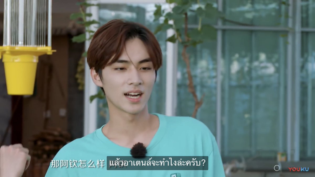 Bee_dar's tweet photo. 555555555555ตลก55555555555555 #WayVDreamPlan_EP4 #WayVDreamPlan https://t.co/bmZjOrxDKc
