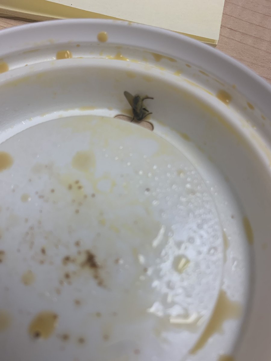 Afae39's tweet photo. Um. My #PSL had a little something extra in it today... @Starbucks https://t.co/VakdDBvHCt
